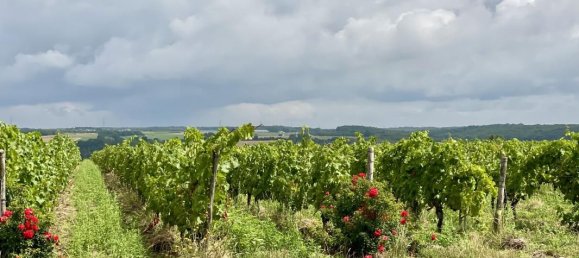 Villa T5 em Cheille, France N.º 285335 10