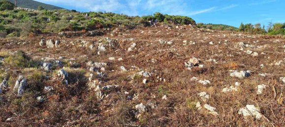  Hotel in Zakynthos, Greece No. 8549 9