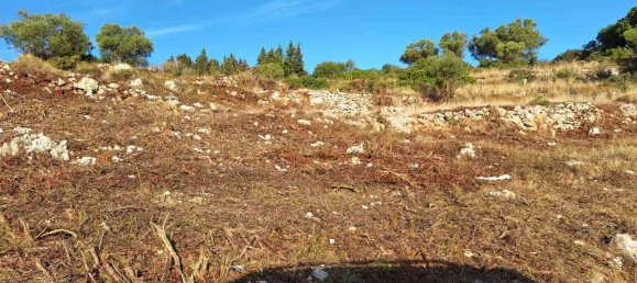Land for sale in Zakynthos, Ionian Islands, Peloponnese, Western Greece and the Ionian, Greece № 8549 7