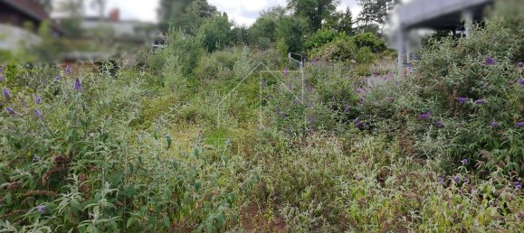 Terreno en Nuremberg, Germany No. 246952 2