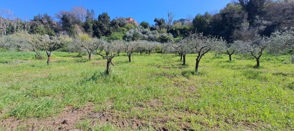 4500m² Land in Castel Gandolfo, Italy No. 93892 36