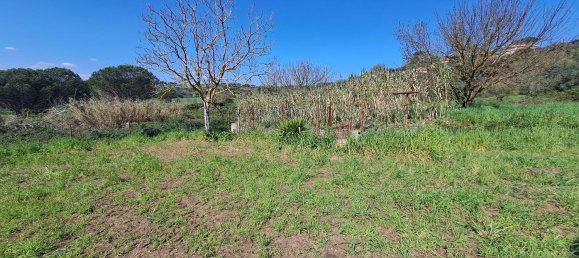 4500m² Land in Castel Gandolfo, Italy No. 93892 17