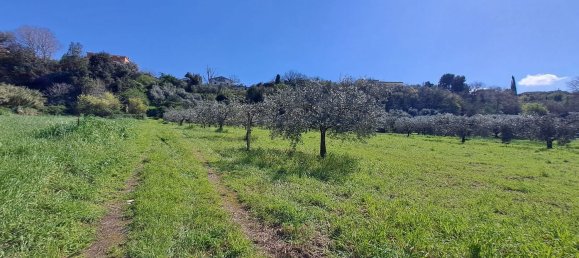 4500m² Land in Castel Gandolfo, Italy No. 93892 14