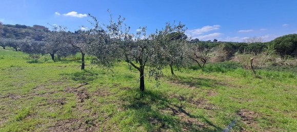 4500m² Land in Castel Gandolfo, Italy No. 93892 15
