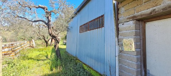 4500m² Land in Castel Gandolfo, Italy No. 93892 18