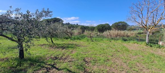 4500m² Land in Castel Gandolfo, Italy No. 93892 16