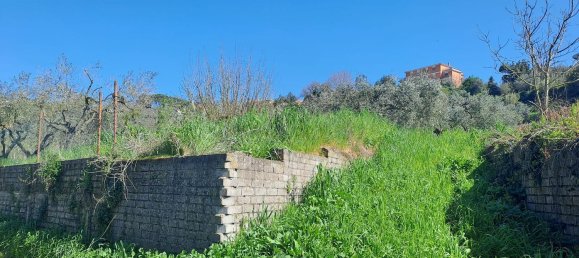 4500m² Land in Castel Gandolfo, Italy No. 93892 6