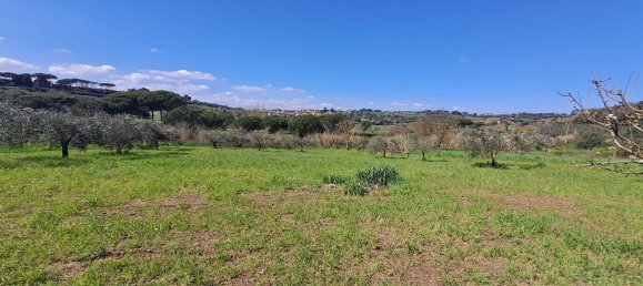 4500m² Land in Castel Gandolfo, Italy No. 93892 38
