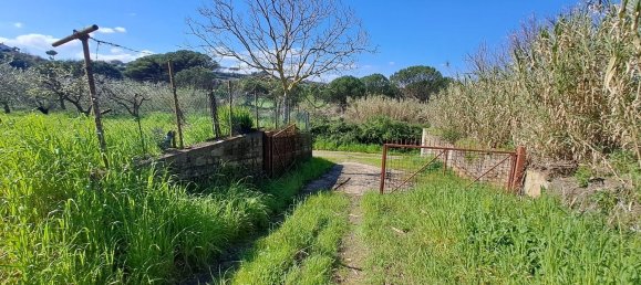 4500m² Land in Castel Gandolfo, Italy No. 93892 11