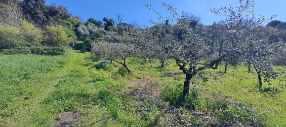 4500m² Land in Castel Gandolfo, Italy No. 93892 35