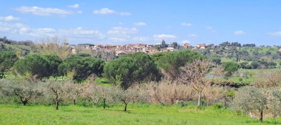 4500m² Land in Castel Gandolfo, Italy No. 93892 37