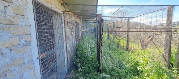 4500m² Land in Castel Gandolfo, Italy No. 93892 20