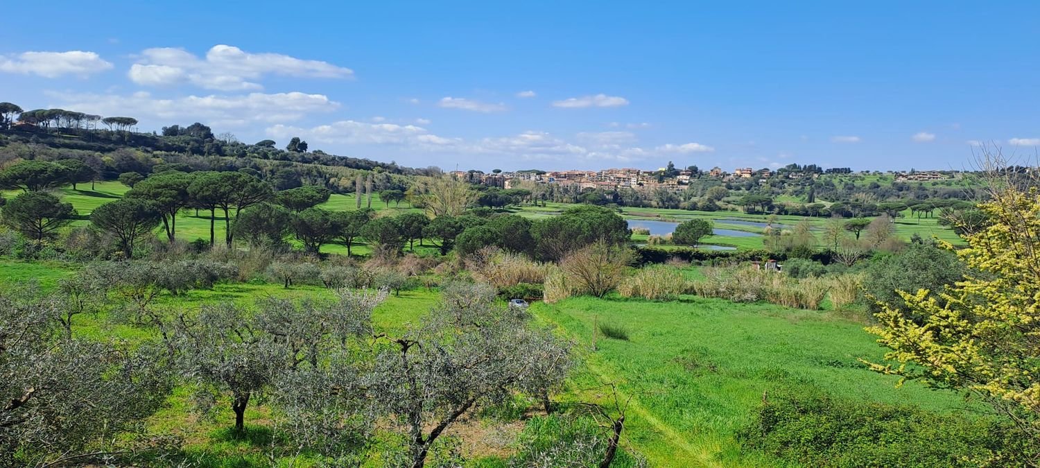 4500m² Land in Castel Gandolfo, Italy No. 93892