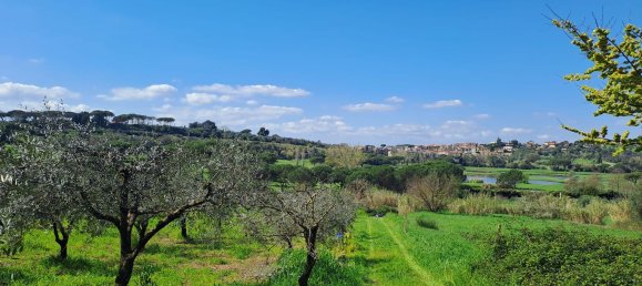 4500m² Land in Castel Gandolfo, Italy No. 93892 29