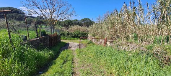 4500m² Land in Castel Gandolfo, Italy No. 93892 13