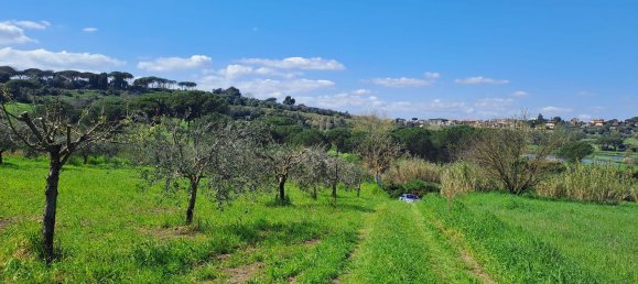 4500m² Land in Castel Gandolfo, Italy No. 93892 33