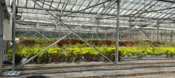 7-salle Appartement à Pontinia, Italy No. 202794 8