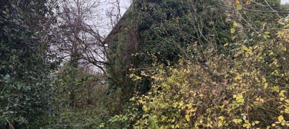 1500m² Land in Landres, France No. 56373 3