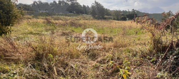 Grundstück in Barcelos, Portugal, Nr. 308497 13