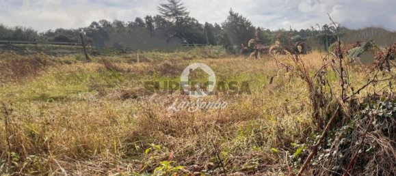 Grundstück in Barcelos, Portugal, Nr. 308497 2