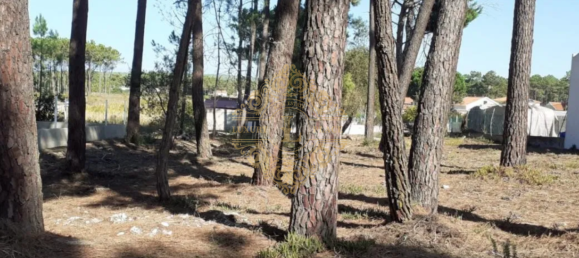 1m² Land in Sesimbra, Portugal No. 143331 3