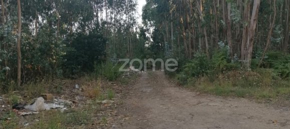 Land in Vila Nova de Famalicao, Portugal No. 83480 11