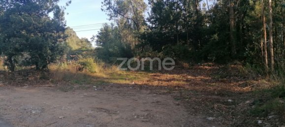 Land in Vila Nova de Famalicao, Portugal No. 83480 2