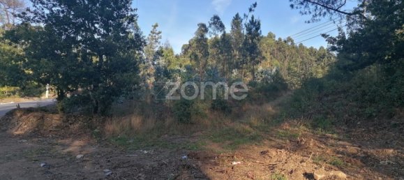 Land in Vila Nova de Famalicao, Portugal No. 83480 8
