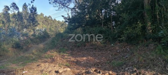 Land in Vila Nova de Famalicao, Portugal No. 83480 7