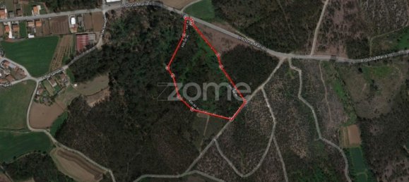 Land in Vila Nova de Famalicao, Portugal No. 83480 3