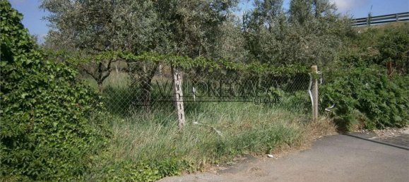 Terrain à Monte Compatri, Italy No. 131801 9