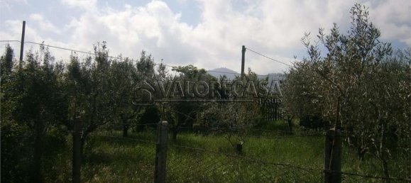 Terrain à Monte Compatri, Italy No. 131801 7