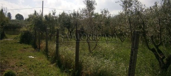 Terrain à Monte Compatri, Italy No. 131801 6