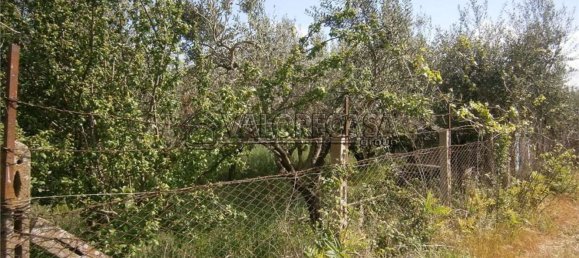 Terrain à Monte Compatri, Italy No. 131801 8
