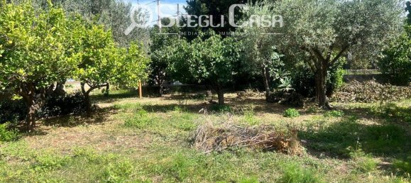 3 rooms Villa in Carini, Italy No. 163895 22