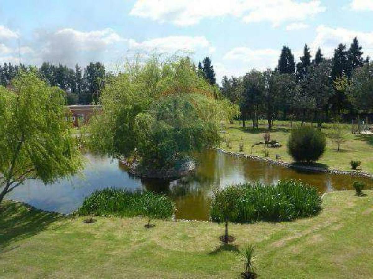  قطعة أرض في Pilar, Argentina رقم 120629