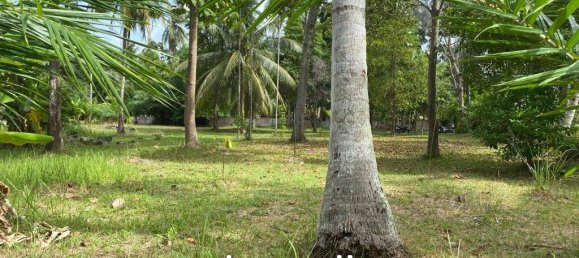  Commercial property in Wiang Sa, Thailand No. 14993 4