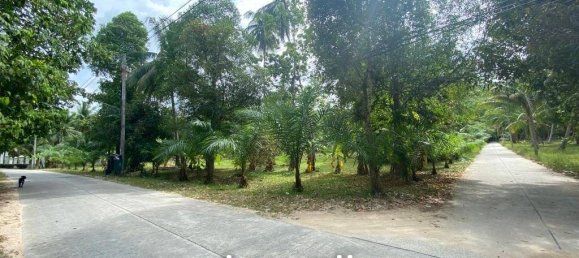  Commercial property in Wiang Sa, Thailand No. 14993 5