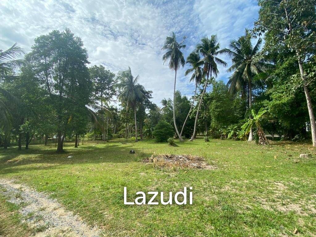  Commercial property in Wiang Sa, Thailand No. 14993