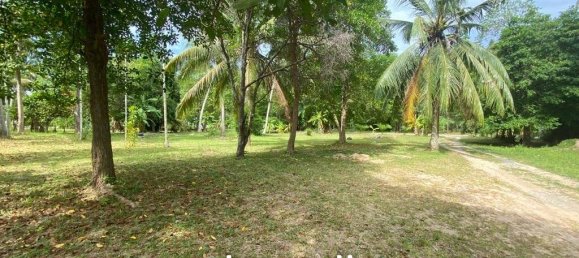  Commercial property in Wiang Sa, Thailand No. 14993 2