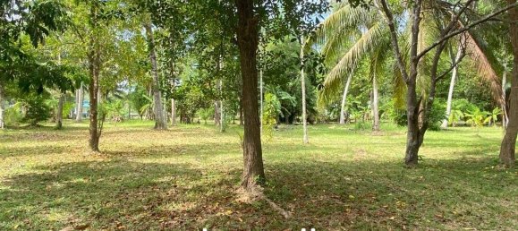  Commercial property in Wiang Sa, Thailand No. 14993 3