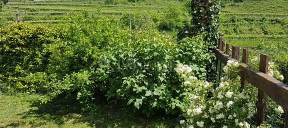 6-Zimmer Villa in Rovereto, Italy, Nr. 229030 21