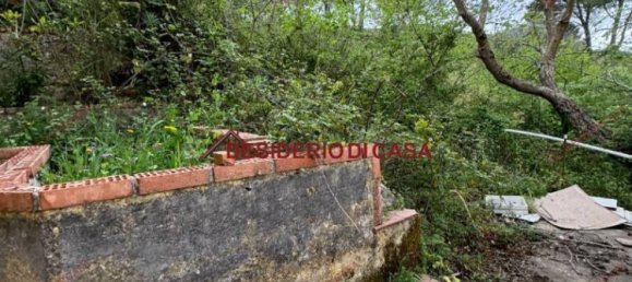 7 bedrooms Villa in Monreale, Italy No. 110964 11