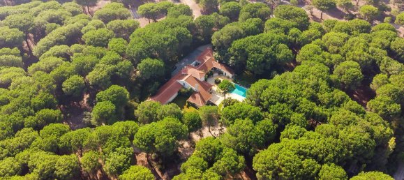 5 bedrooms House in Benavente, Portugal No. 51369 50