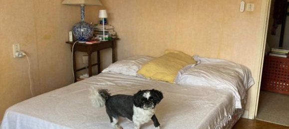 4 bedrooms Townhouse in Occitanie, France No. 336075 9