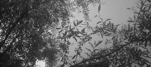 4 chambres Maison à Cadiz, Spain No. 29170 50