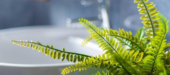 6 rooms Villa in Cremeno, Italy No. 41322 36