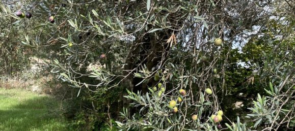 6 rooms Villa in Chiaramonte Gulfi, Italy No. 103537 47