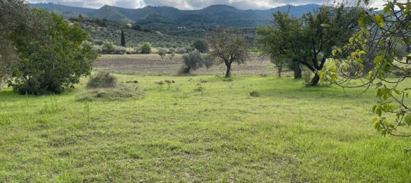 6 rooms Villa in Chiaramonte Gulfi, Italy No. 103537 38