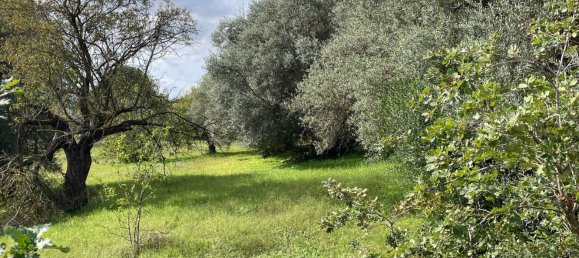 6 rooms Villa in Chiaramonte Gulfi, Italy No. 103537 30